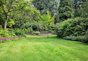 Optimiser l'expérience du jardin à Le Pailly